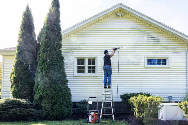 Best Deck Cleaning Services  in Farngton, MI